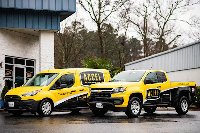 Accel Pest & Termite Control Picture 3