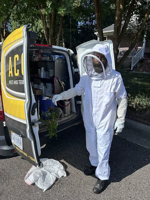 Accel Pest & Termite Control Picture 8