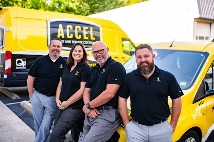 Accel Pest & Termite Control Picture 6