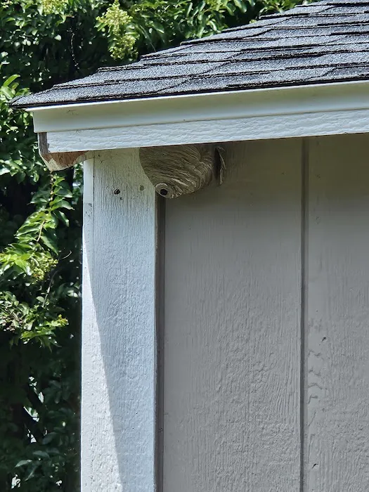 Accel Pest & Termite Control Picture 9