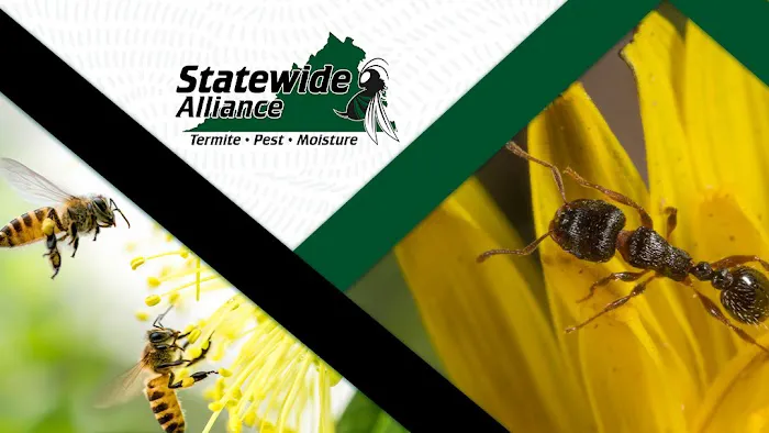 Statewide Alliance Termite, Moisture & Pest Control Picture 5