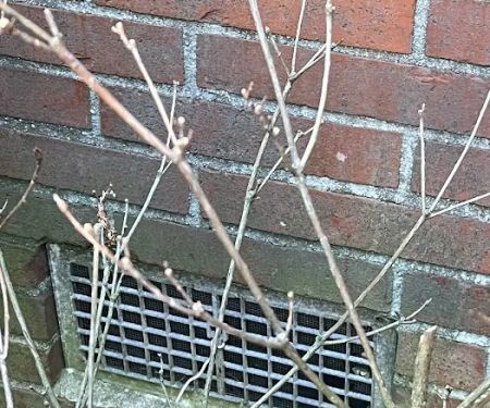 Empire Pest Control, LLC