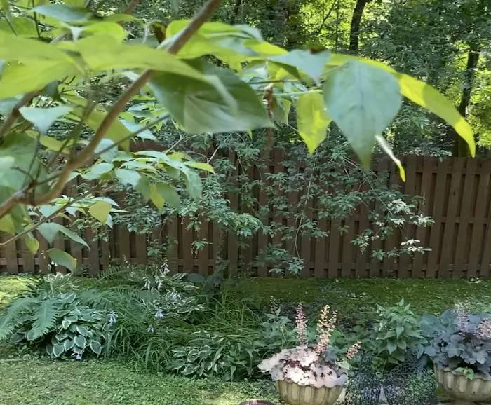 The Mosquito Authority of Richmond Picture 9