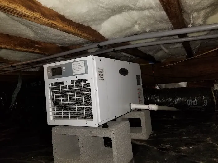 Fidelity Termite & Pest Picture 8