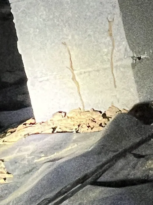 Antipest Termite & Pest Control Picture 7