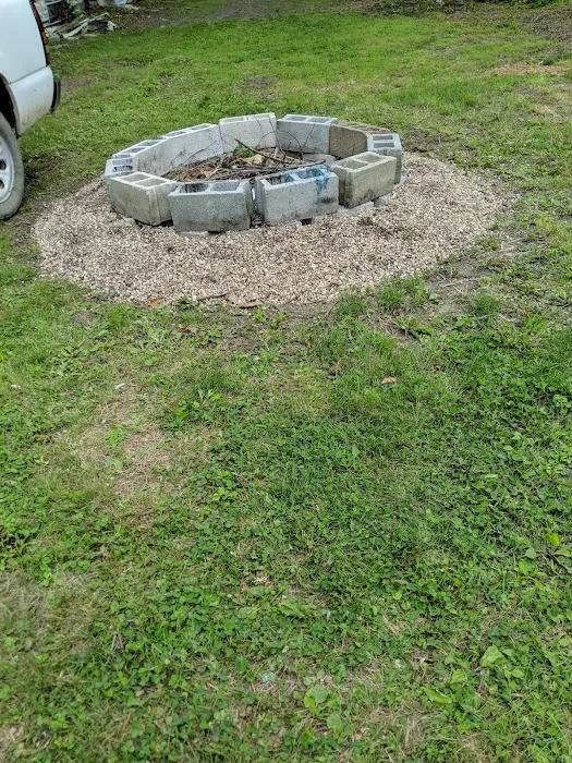 Frontline Pest and Termite of Richmond Picture 9