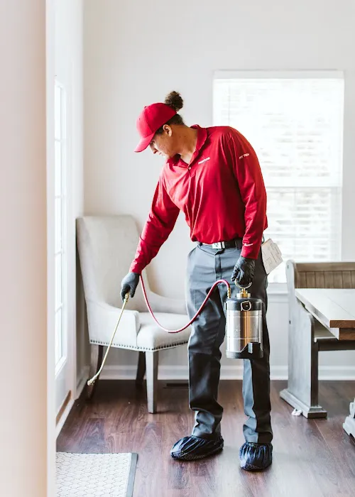 Frontline Pest and Termite of Richmond Picture 10