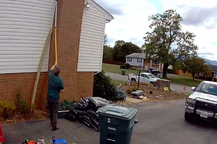Evergreen Pest Solutions Picture 1