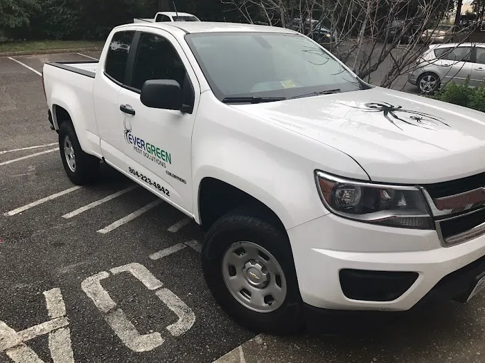 Evergreen Pest Solutions Picture 7