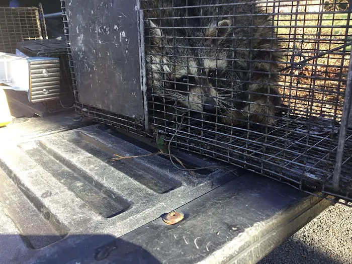 Critter Authority Picture 1