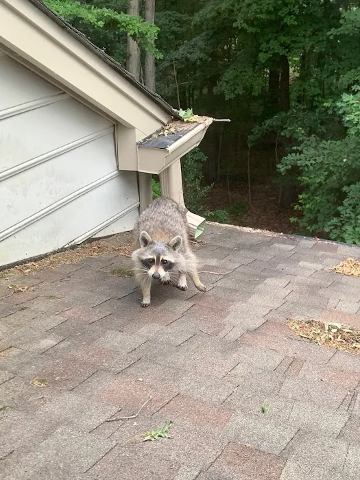 Critter Authority Picture 4