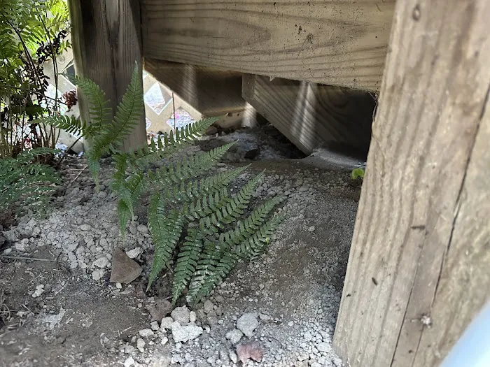 Urbanex Pest Control Picture 3