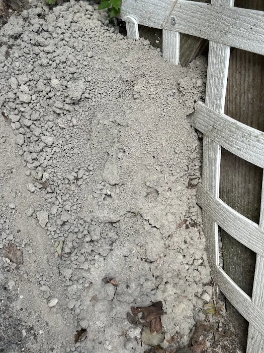 Urbanex Pest Control Picture 8