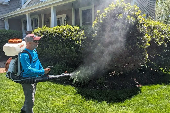 Mosquito Scout Total Pest Control Picture 5