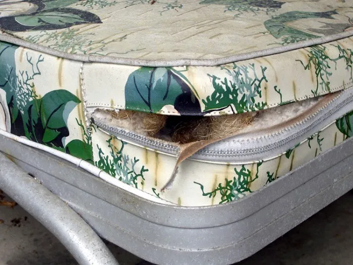 Saint Exclusion Services (Pest Control) Picture 9