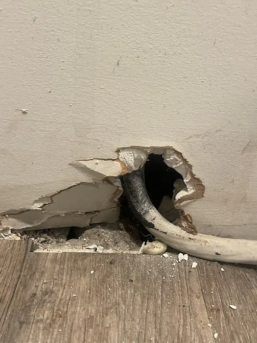 Saint Exclusion Services (Pest Control) Picture 3