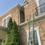 Saint Exclusion Services (Pest Control)