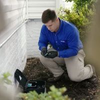 American Pest ico