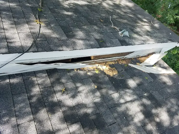 Pest Proof Pest Management Picture 3