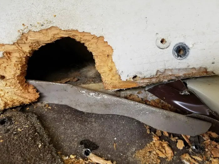 Pest Proof Pest Management Picture 9