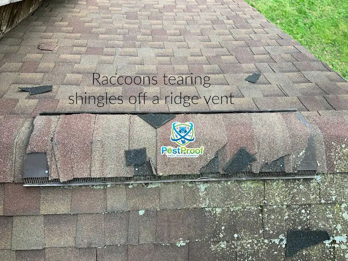 Pest Proof Pest Management Picture 5