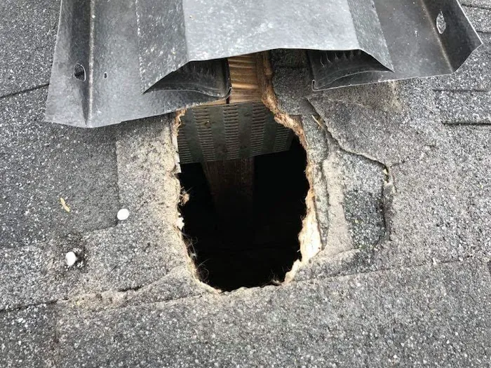 Pest Proof Pest Management Picture 7