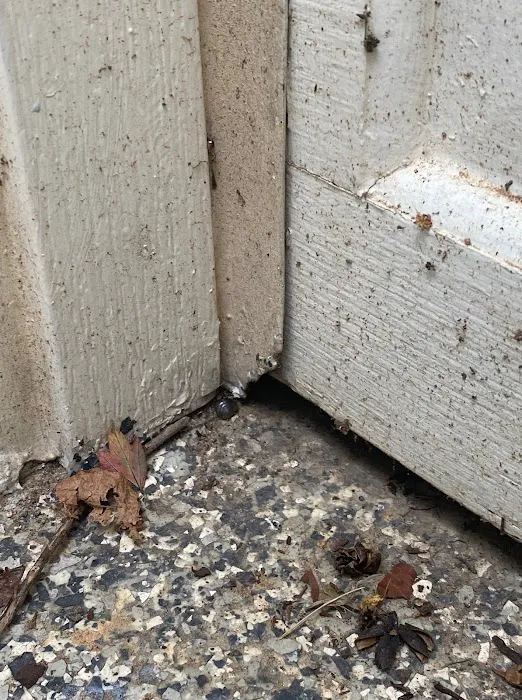 Pest Control Near Me, Inc. Picture 10