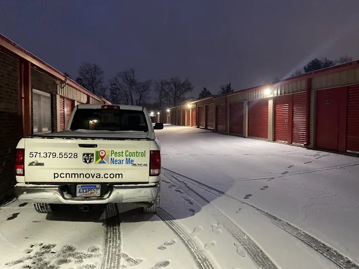 Pest Control Near Me, Inc. Picture 4