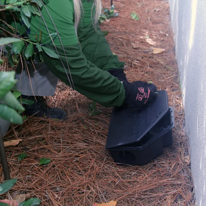 PestNow Picture 5
