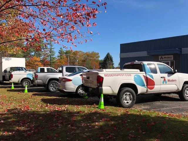 Modern Pest Services Picture 5