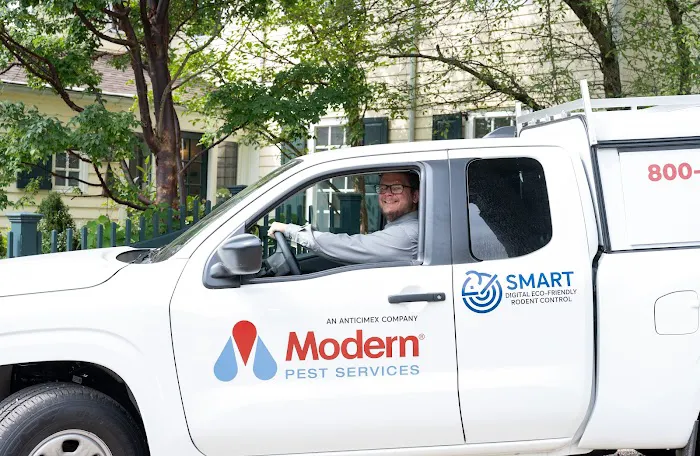 Modern Pest Services Picture 7