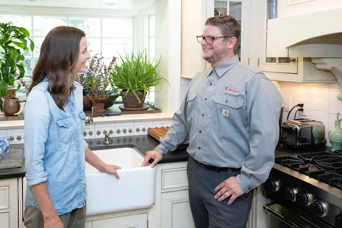 Modern Pest Services Picture 4