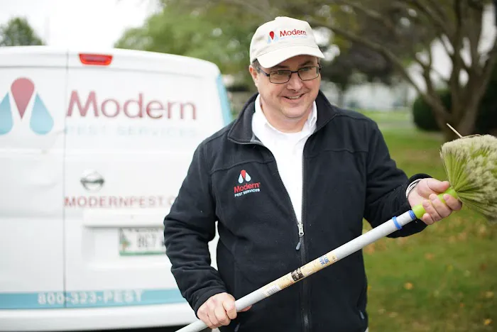 Modern Pest Services Picture 2