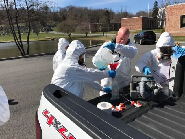 Modern Pest Services Picture 9