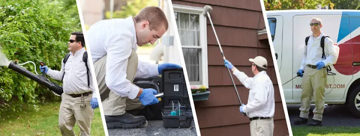Modern Pest Services Picture 1