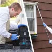 Modern Pest Services ico