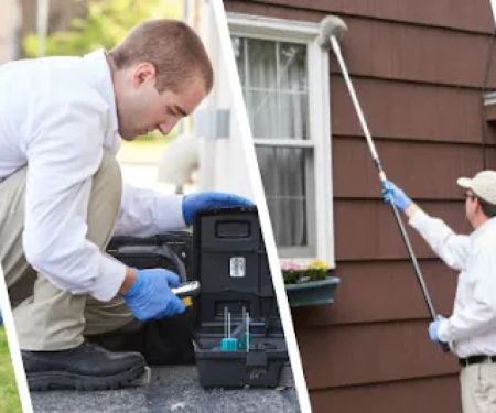 Modern Pest Services