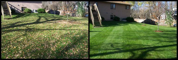 Going Green Lawn Care & Tractor Services Picture 2