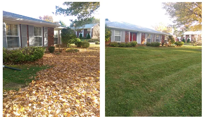 Going Green Lawn Care & Tractor Services Picture 3