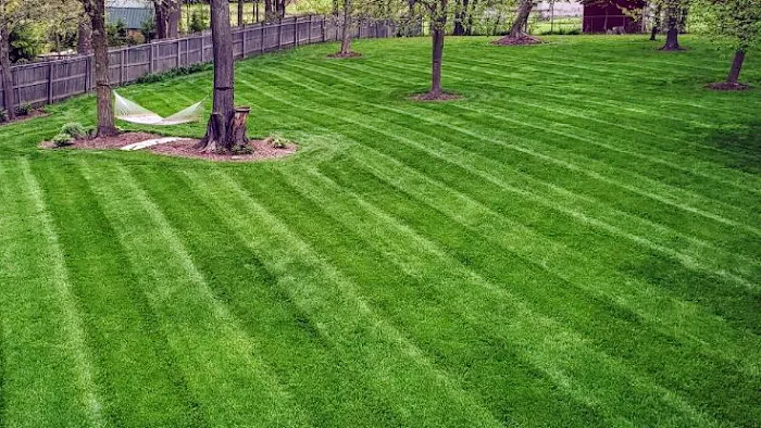 Going Green Lawn Care & Tractor Services Picture 1