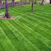 Going Green Lawn Care & Tractor Services ico