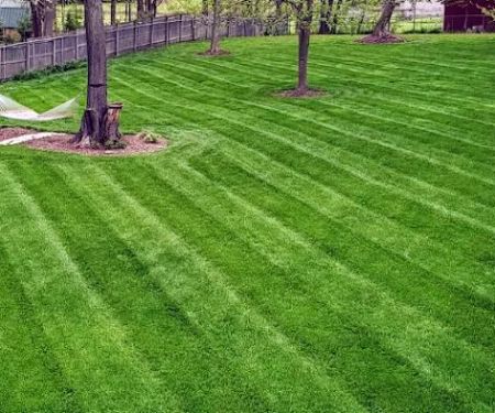 Going Green Lawn Care & Tractor Services