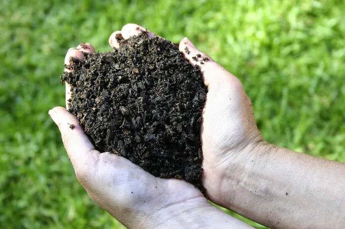 Green Thumb Lawn Services Picture 9
