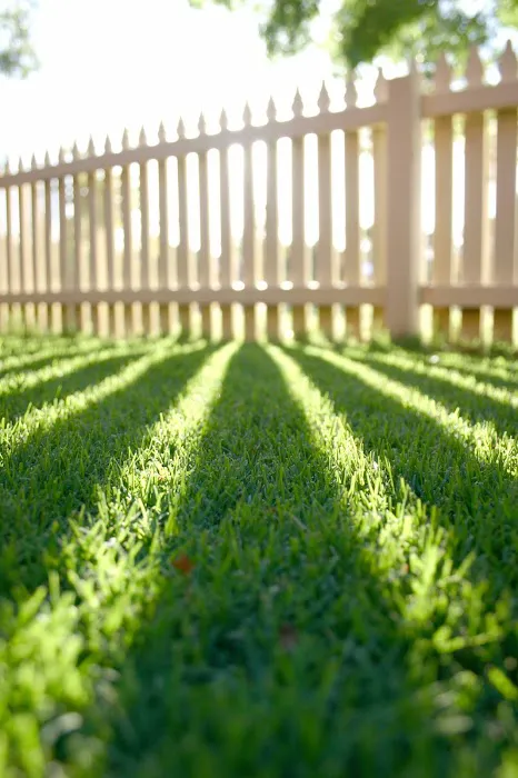 Green Thumb Lawn Services Picture 8