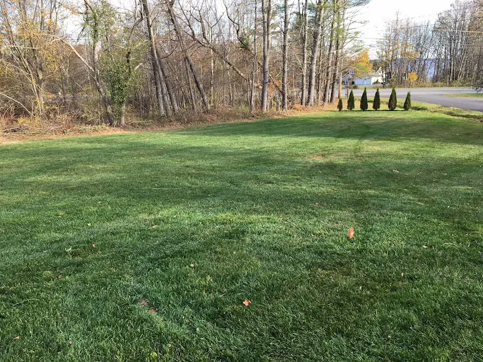 Green Thumb Lawn Services Picture 4
