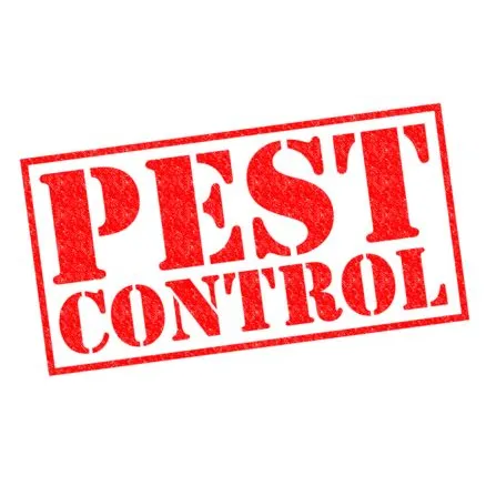 Economy Pest Control Picture 1
