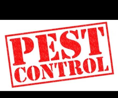 Economy Pest Control