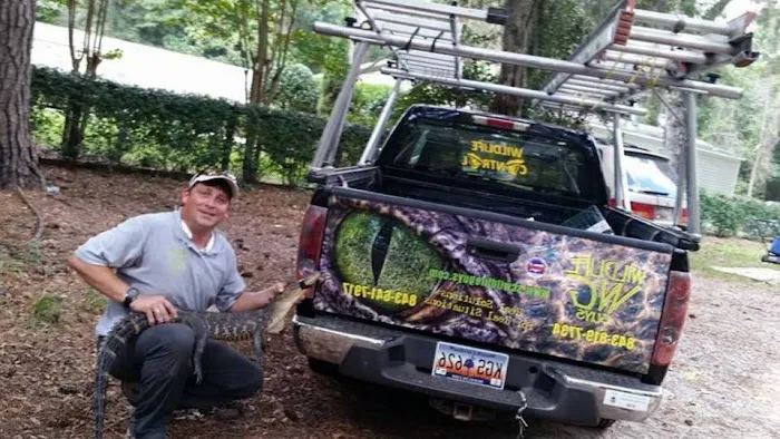 Beaver County Wildlife Removal Picture 1
