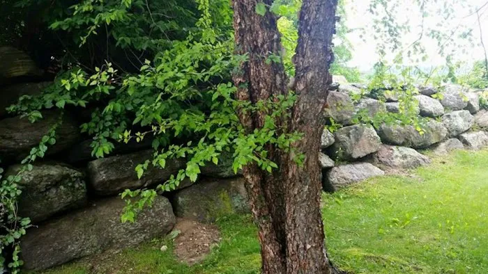 Beaver County Wildlife Removal Picture 7
