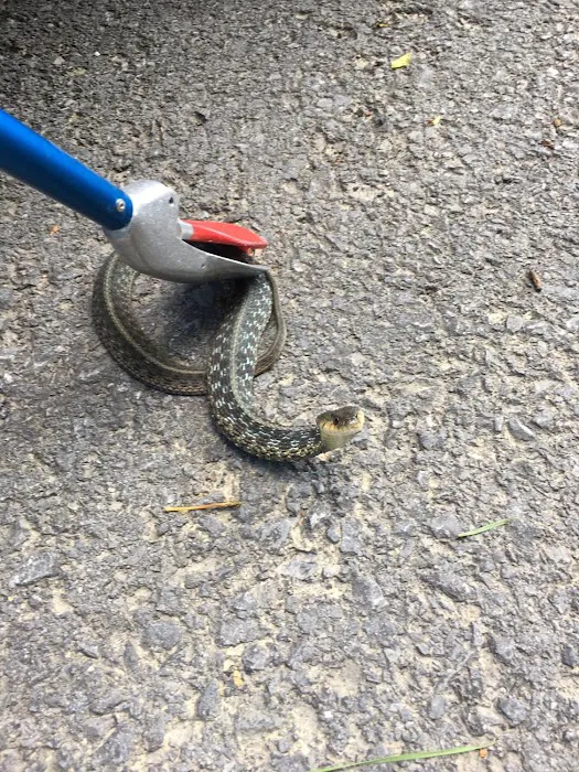 Pest Elimination Picture 5
